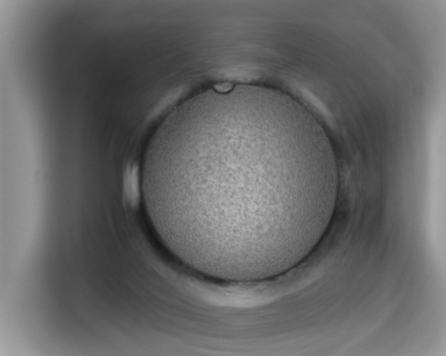 X0000115310020200911091146