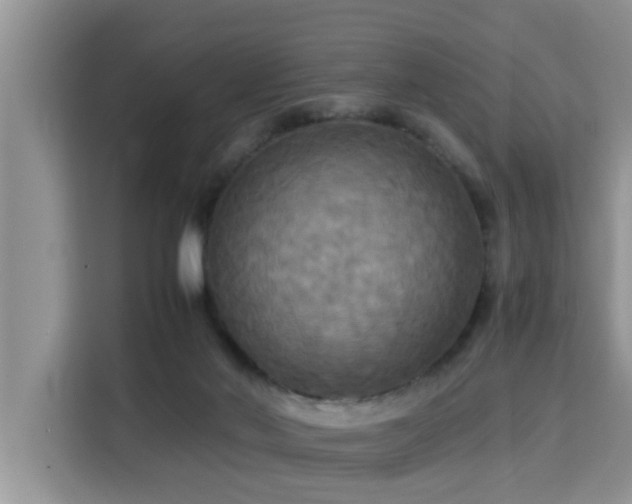 X0000115310022200911091146