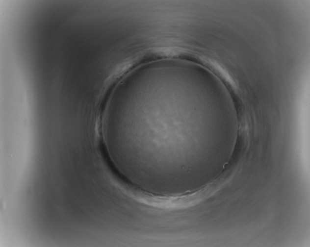 X0000115310023200911091146