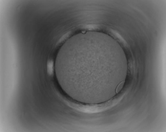 X0000115310024200911091146