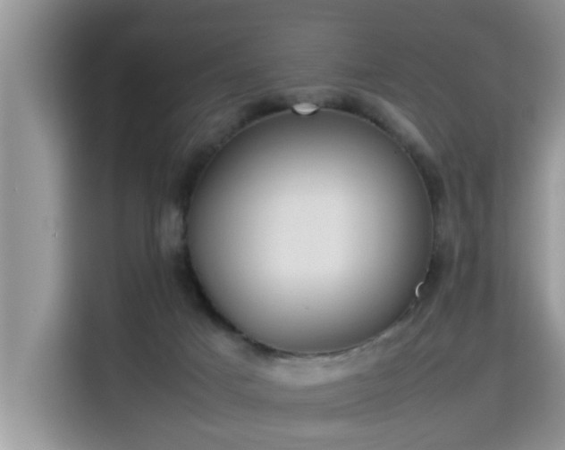 X0000115310025200911091146