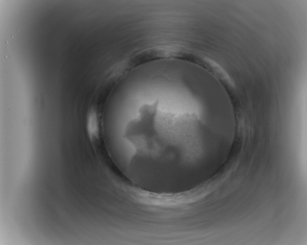 X0000115310026200911091146