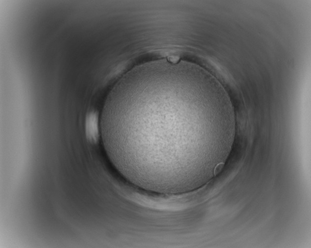 X0000115310028200911091146