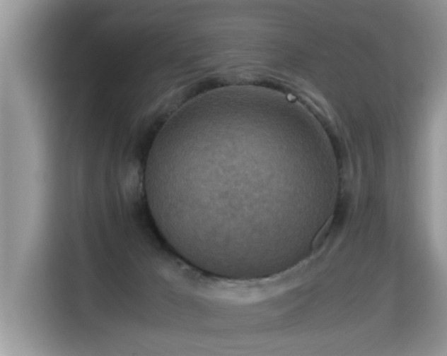 X0000115310029200911091146