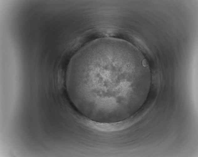 X0000115310030200911091146