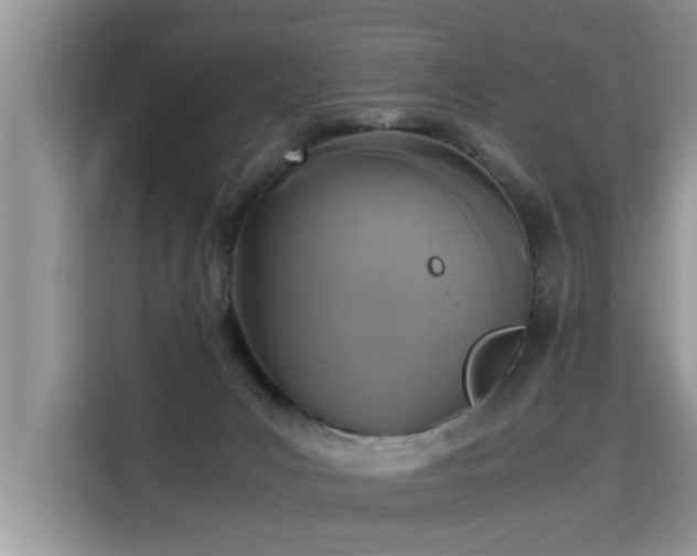 X0000115310031200911091146