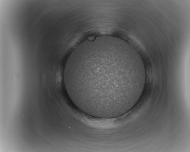 X0000115310032200911091146