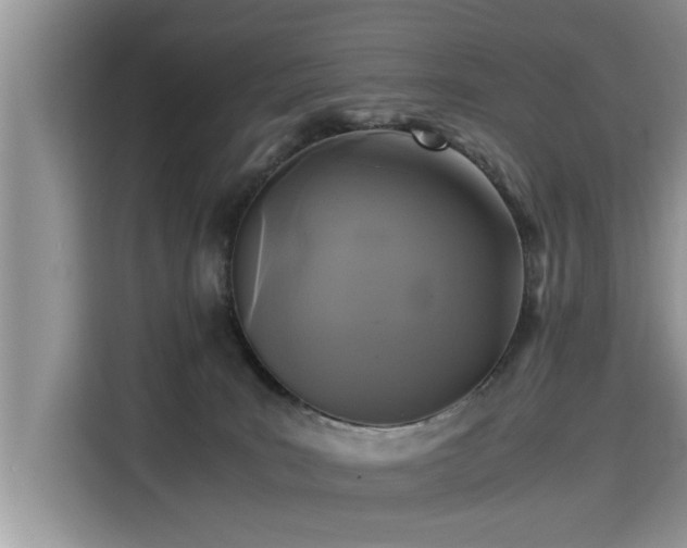 X0000115310035200911091146