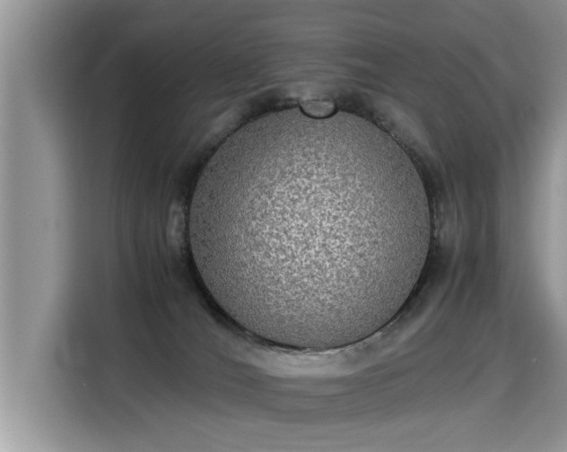 X0000115310036200911091146