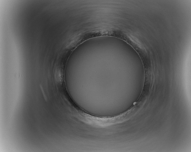 X0000115310039200911091146