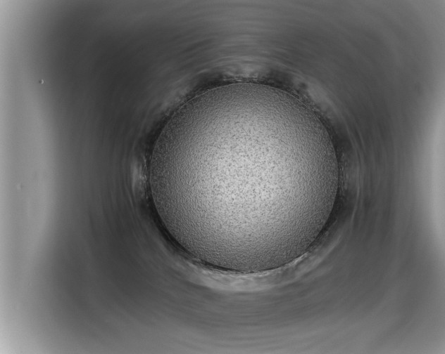 X0000115310040200911091146