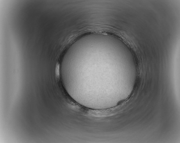 X0000115310041200911091146