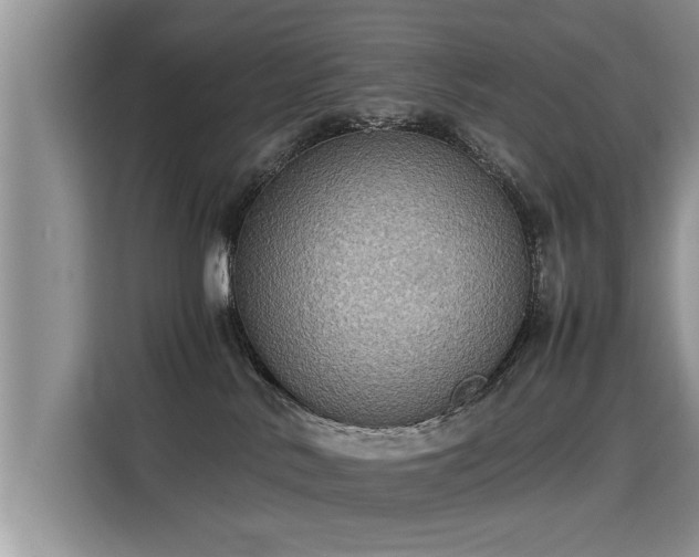 X0000115310042200911091146