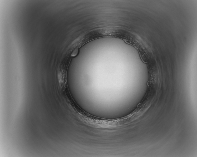 X0000115310044200911091145