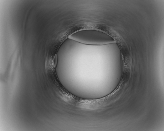 X0000115310045200911091145