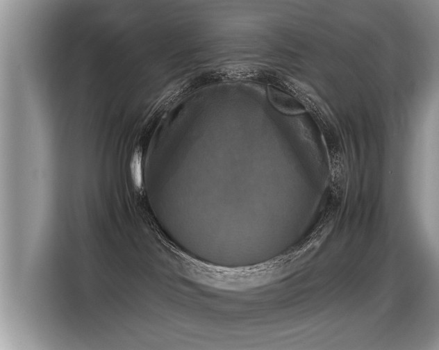 X0000115310046200911091145