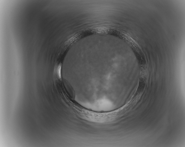 X0000115310047200911091145