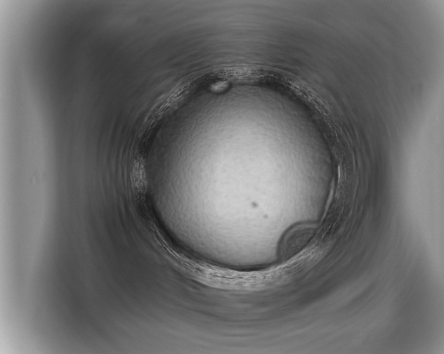 X0000115310048200911091145