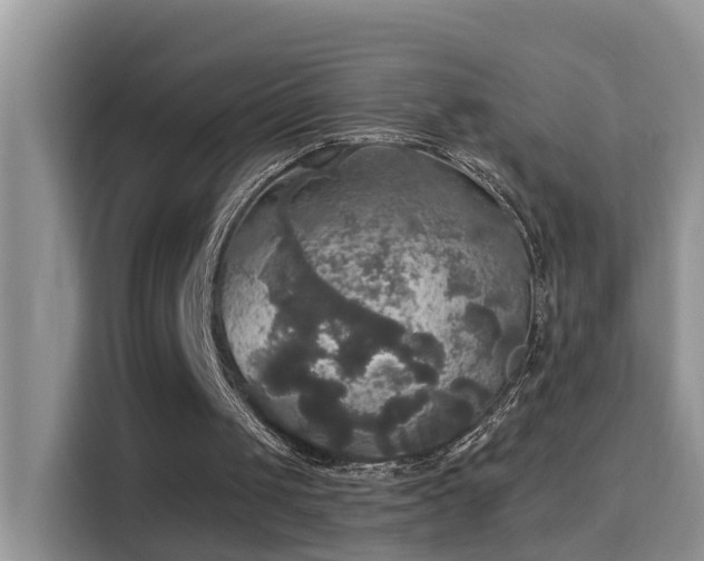 X0000115310049200911091145