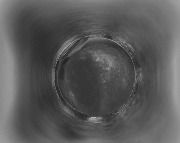 X0000115310051200911091145