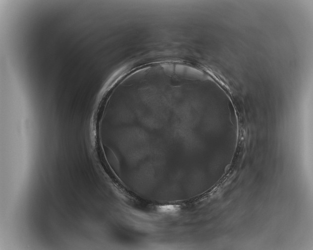 X0000115310053200911091145