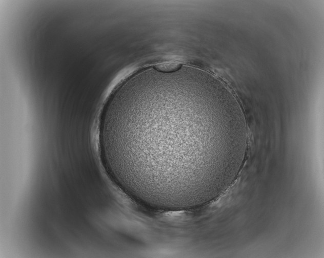 X0000115310054200911091145