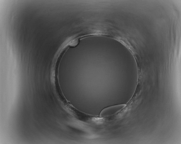 X0000115310055200911091145