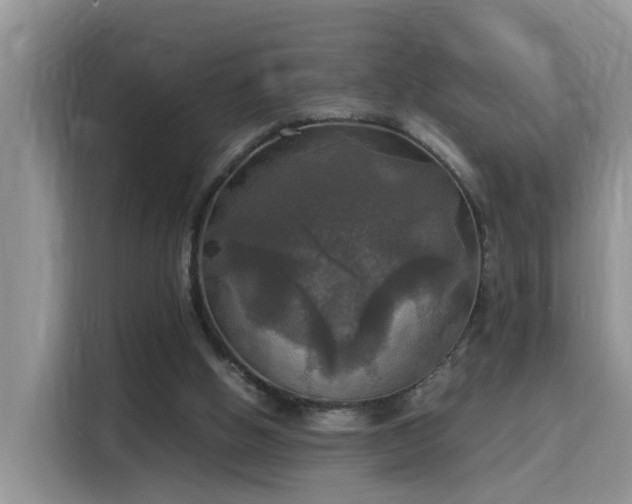 X0000115310058200911091145