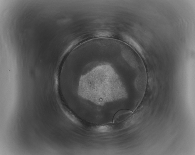 X0000115310059200911091145