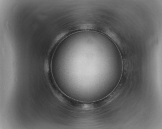 X0000115310060200911091145