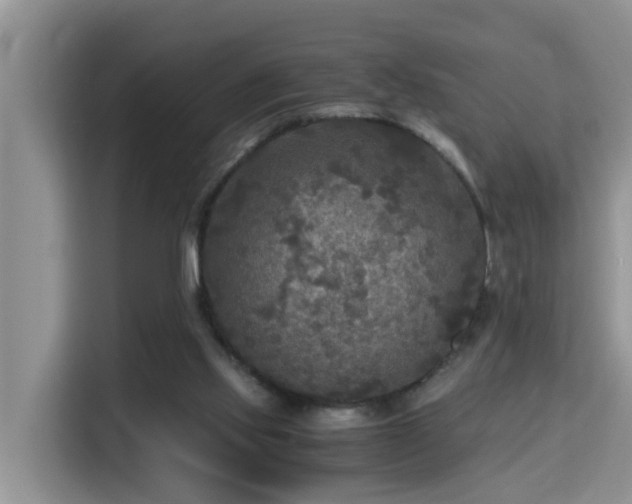 X0000115310061200911091145