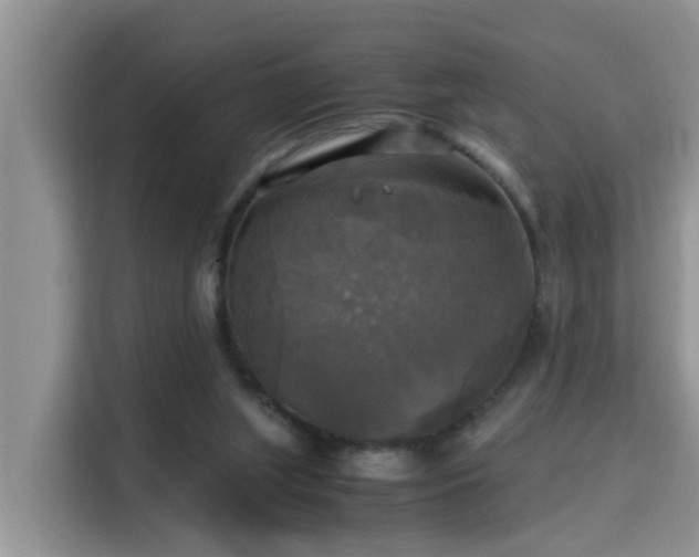 X0000115310063200911091145