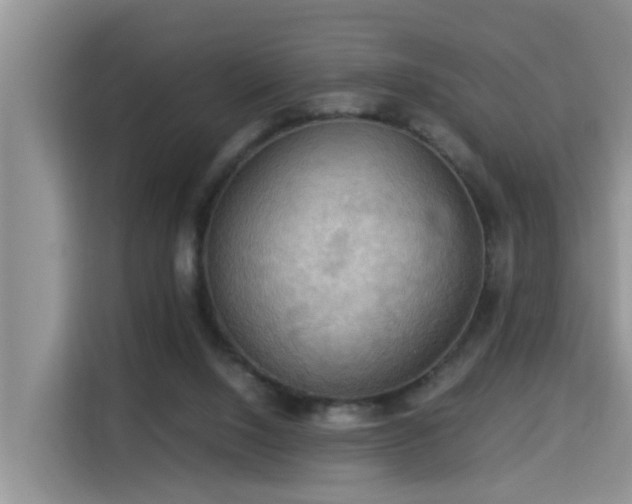 X0000115310064200911091145