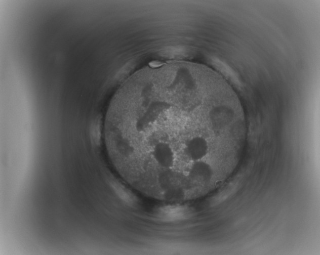 X0000115310065200911091145