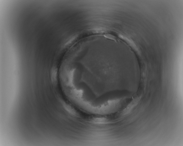 X0000115310066200911091145