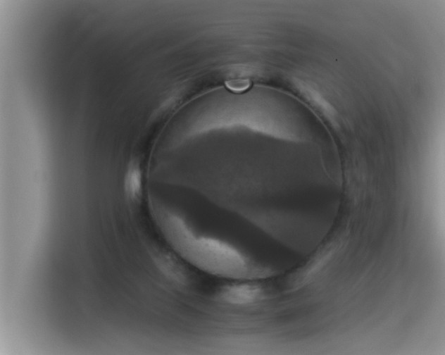 X0000115310067200911091145