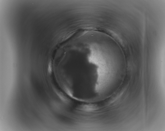 X0000115310069200911091145