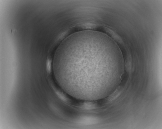 X0000115310070200911091145