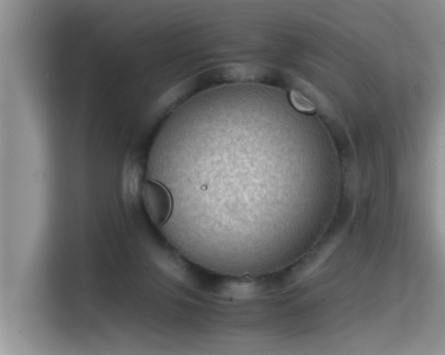 X0000115310071200911091145