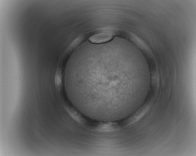 X0000115310072200911091145