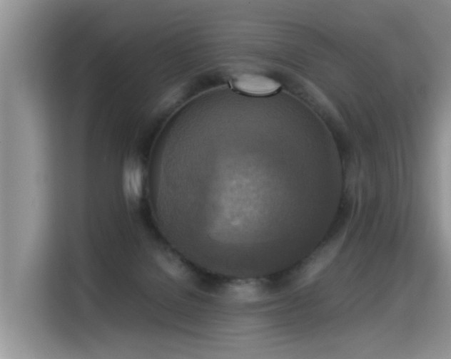 X0000115310076200911091145