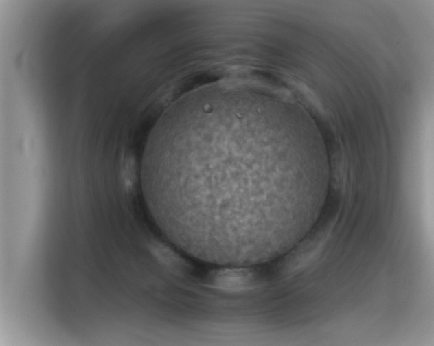 X0000115310077200911091145