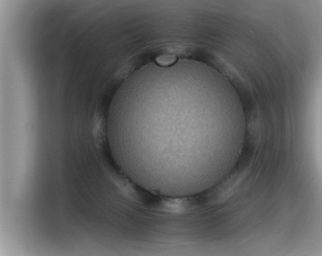 X0000115310079200911091145