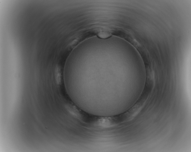 X0000115310080200911091145