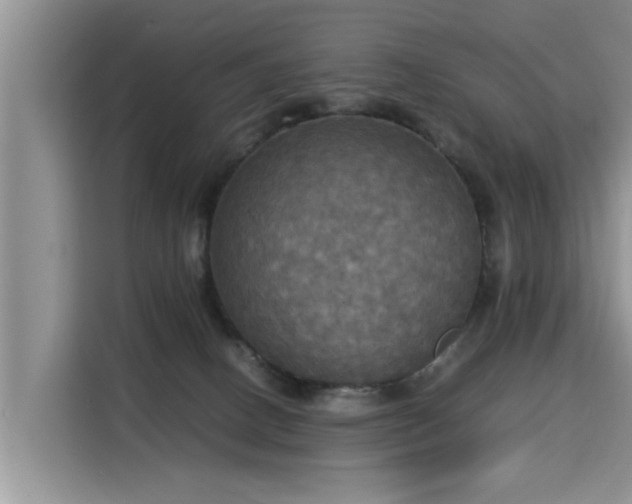 X0000115310082200911091145