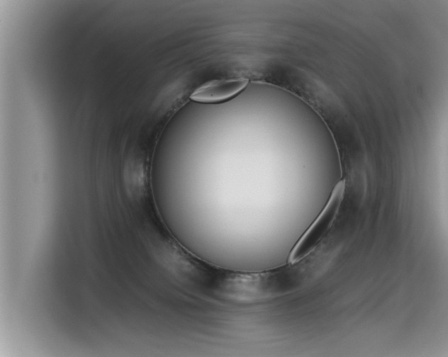 X0000115310084200911091145