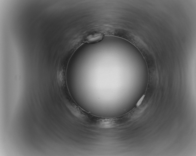 X0000115310088200911091145