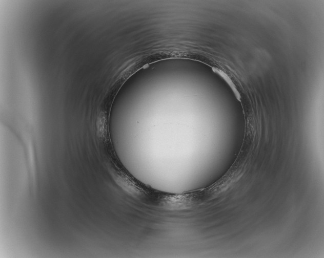 X0000115310092200911091145