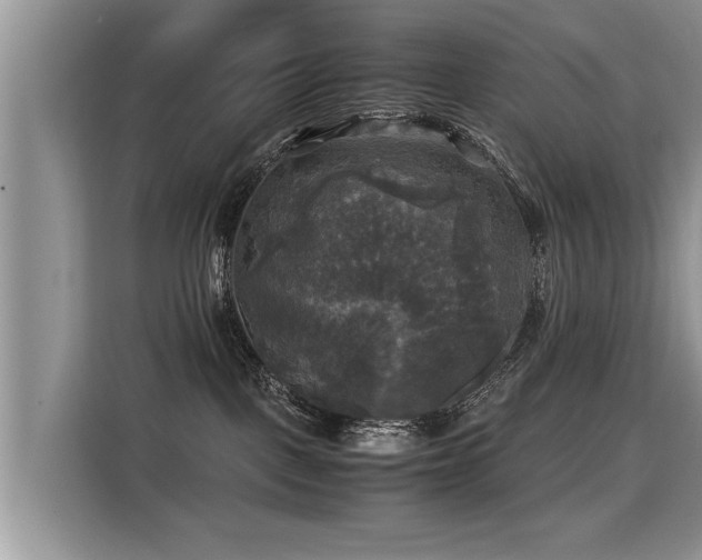 X0000115310093200911091145