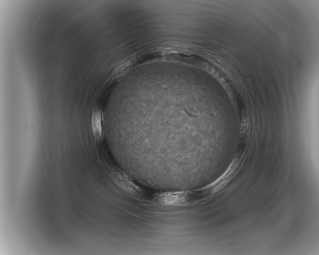 X0000115310094200911091145